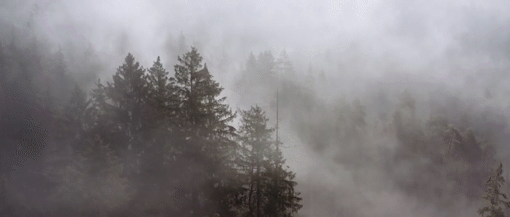 위챗 사진_20220531171410gif