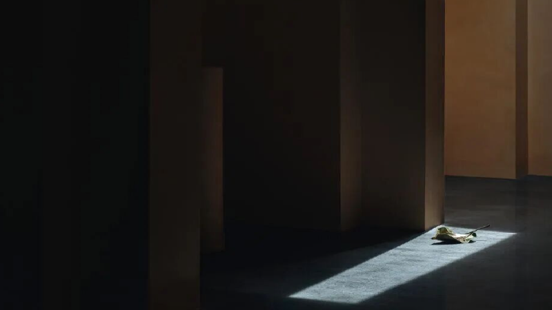 Meituxiuxiu 일괄 처리_20260205141757png